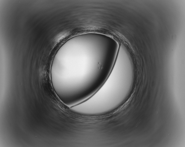 X0000087561210200704270920