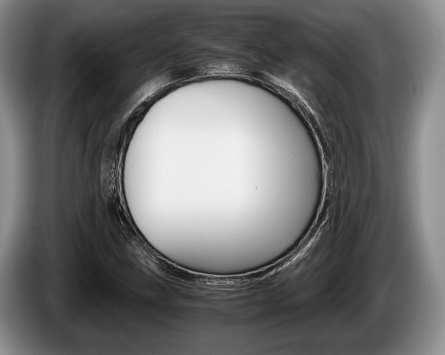 X0000087561211200704270920