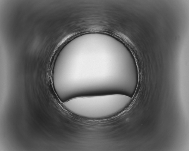 X0000087561212200704270920