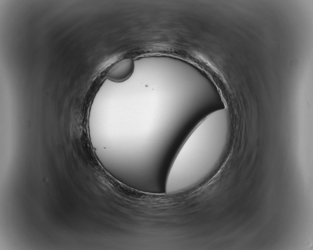 X0000087561213200704270920