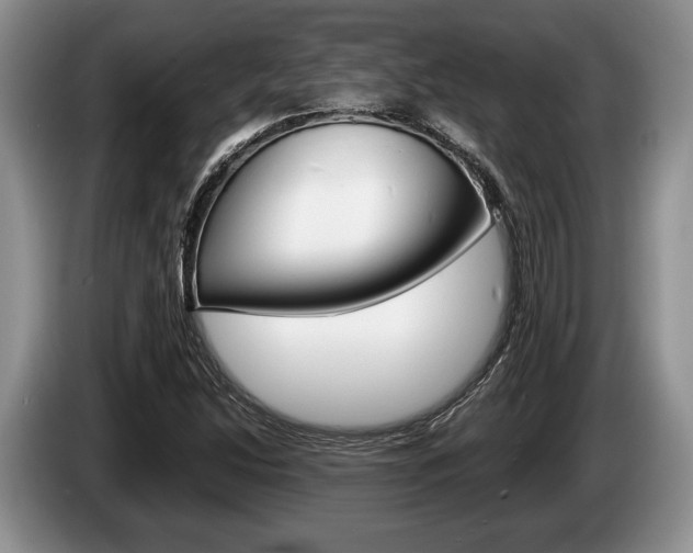 X0000087561214200704270920