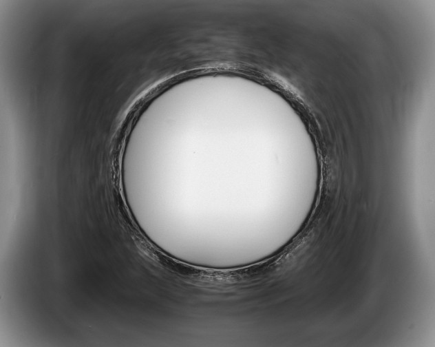X0000087561215200704270920