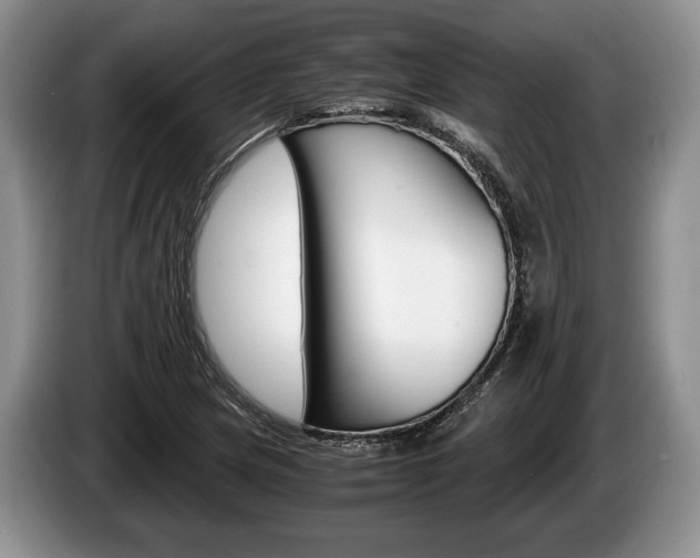 X0000087561217200704270920