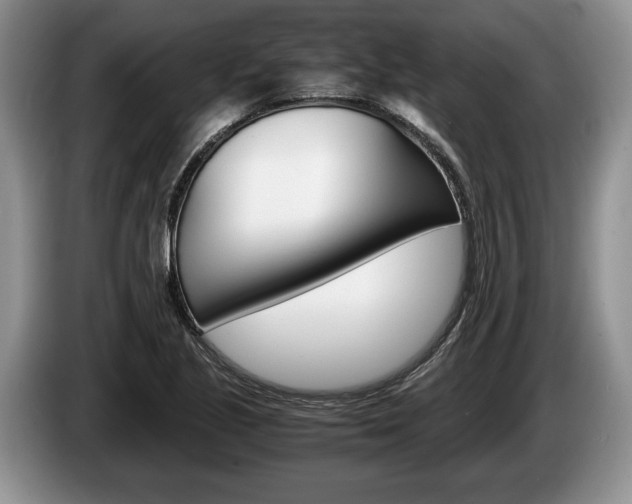 X0000087561221200704270920