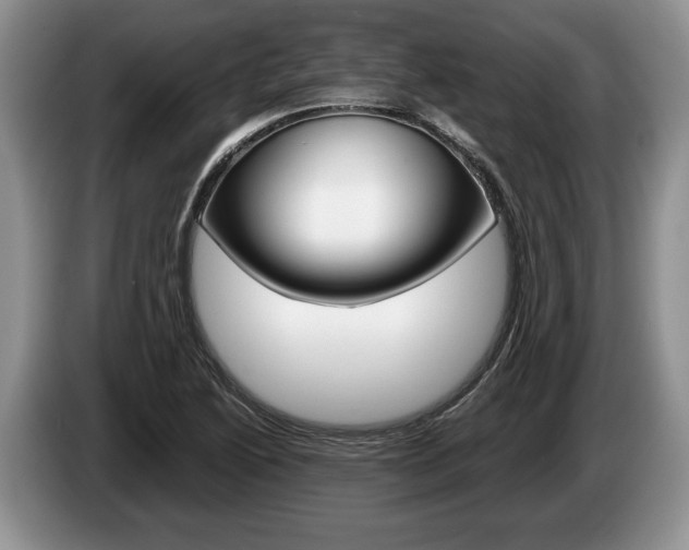 X0000087561222200704270920