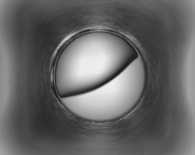 X0000087561224200704270920