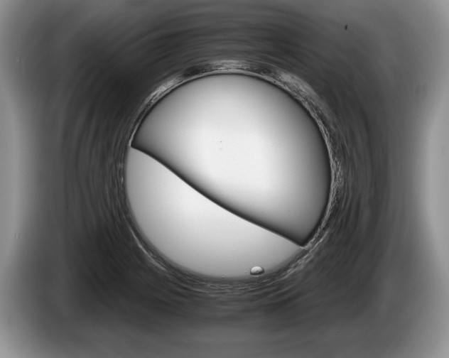 X0000087561225200704270920