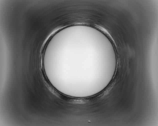 X0000087561227200704270920