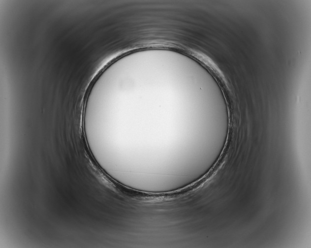 X0000087561228200704270920