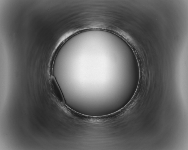 X0000087561230200704270920