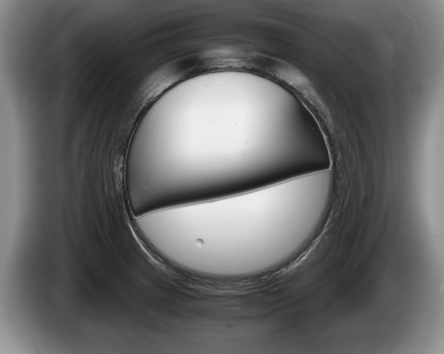 X0000087561233200704270920