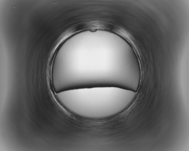 X0000087561235200704270920