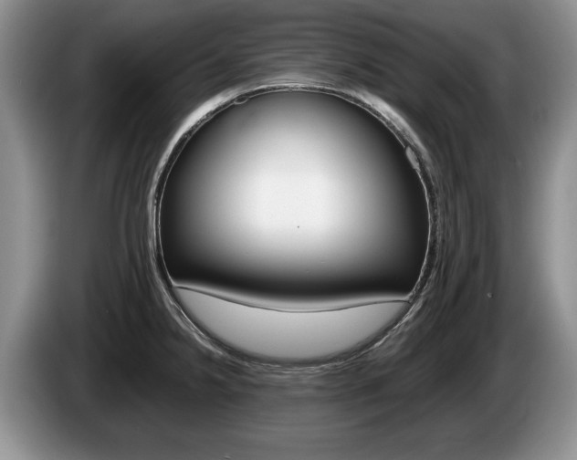 X0000087561238200704270920