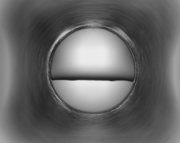 X0000087561240200704270920