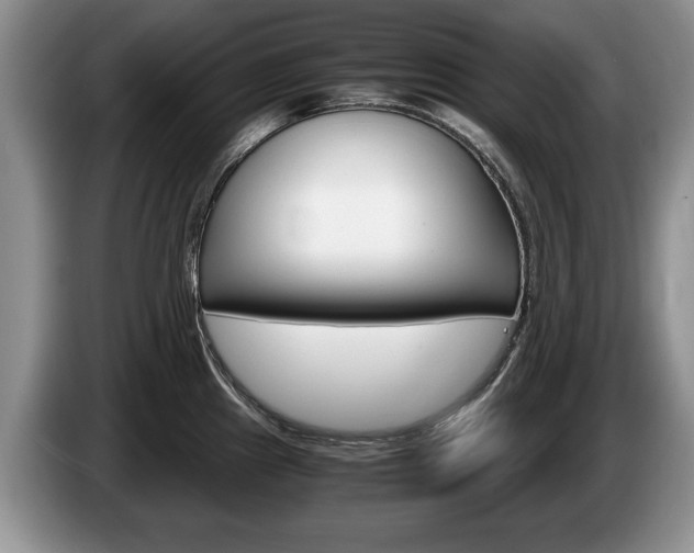 X0000087561241200704270920