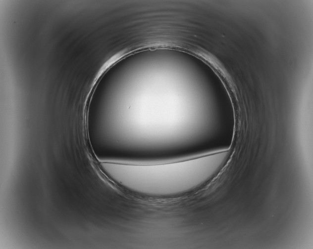 X0000087561242200704270920
