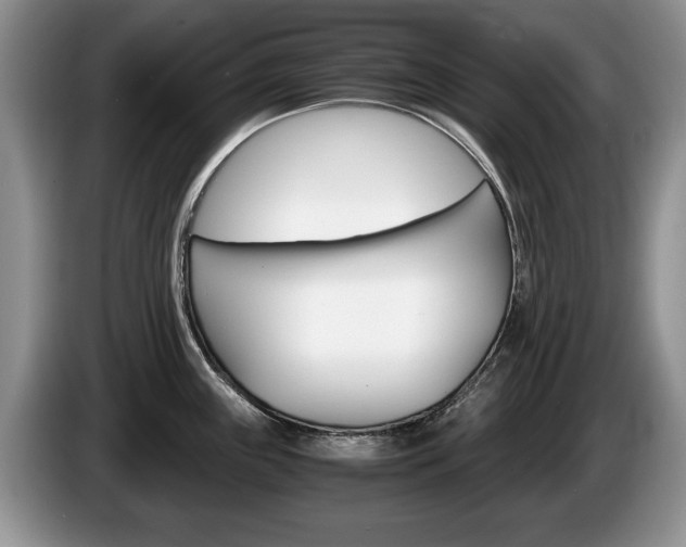 X0000087561243200704270920