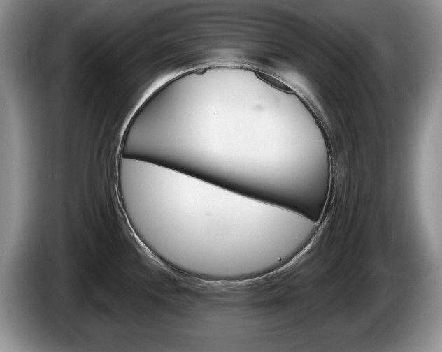 X0000087561244200704270920