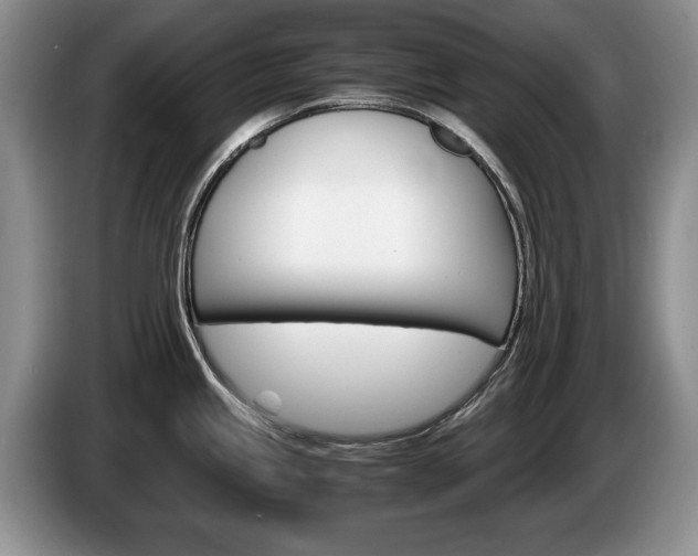 X0000087561245200704270920