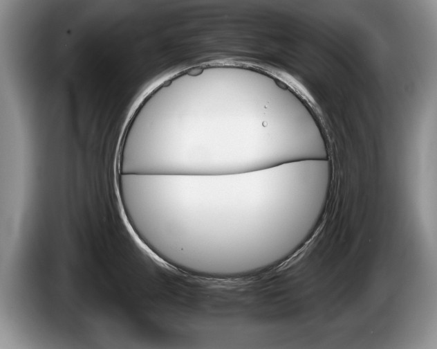 X0000087561247200704270920
