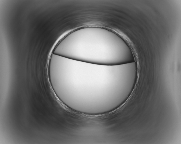 X0000087561248200704270920