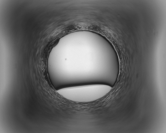 X0000087561253200704270920