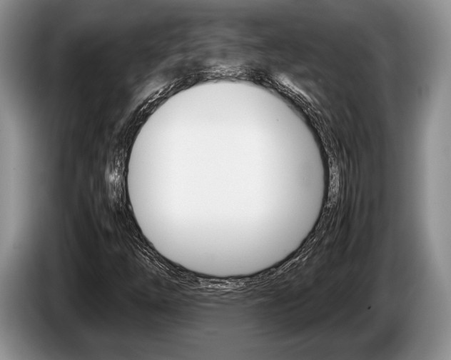 X0000087561254200704270920