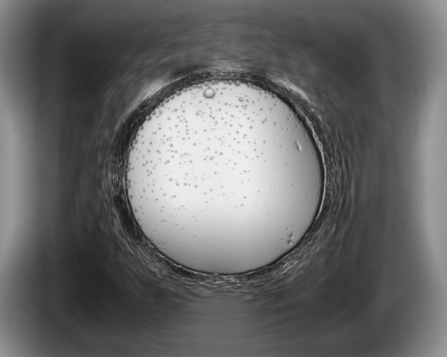 X0000087561255200704270920
