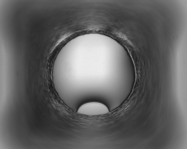 X0000087561256200704270919