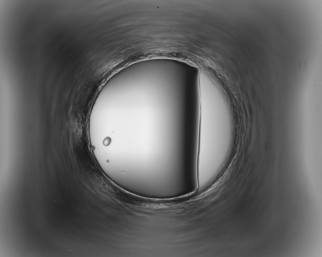X0000087561257200704270919