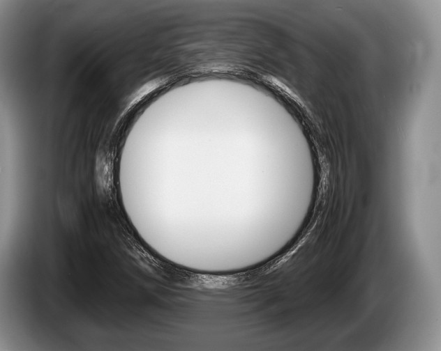 X0000087561258200704270919