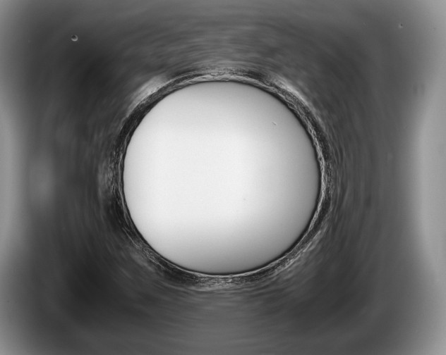 X0000087561259200704270919