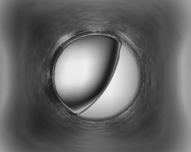 X0000087561261200704270919