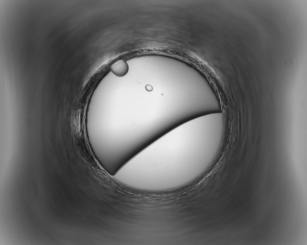 X0000087561262200704270919