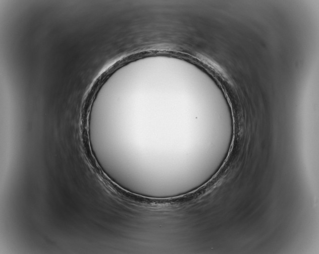 X0000087561264200704270919