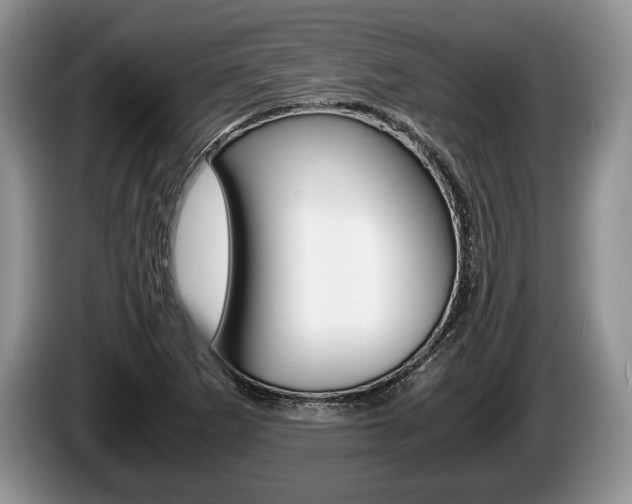 X0000087561265200704270919