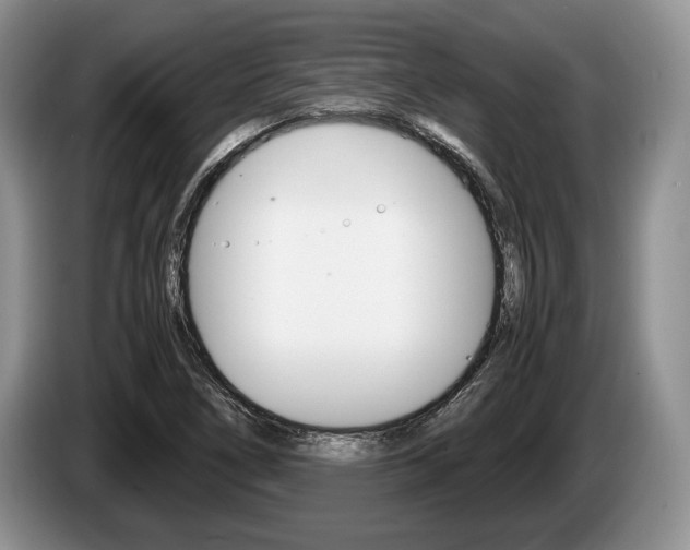 X0000087561266200704270919