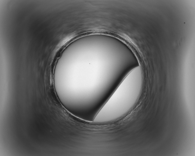 X0000087561269200704270919