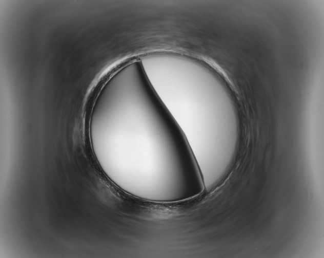 X0000087561270200704270919