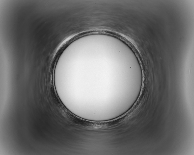 X0000087561271200704270919