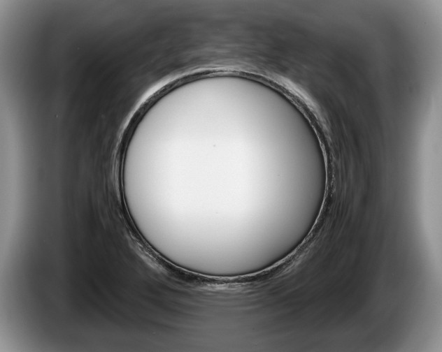 X0000087561272200704270919
