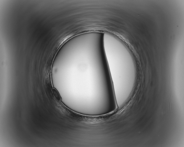 X0000087561273200704270919