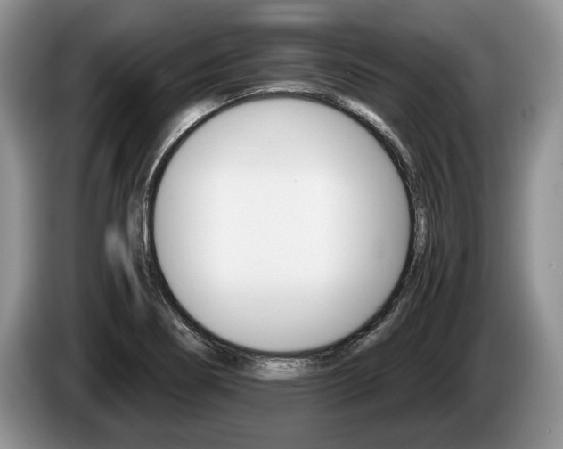 X0000087561274200704270919