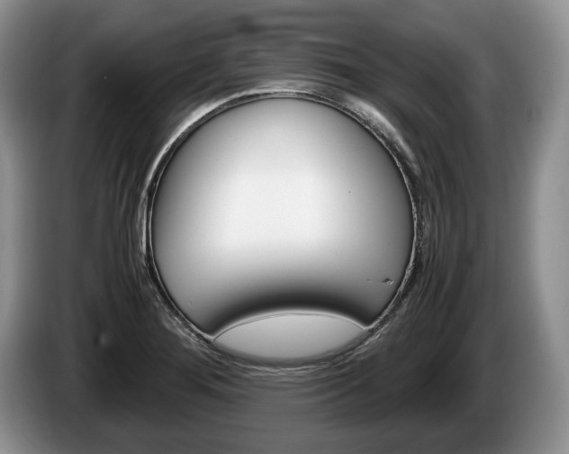 X0000087561276200704270919