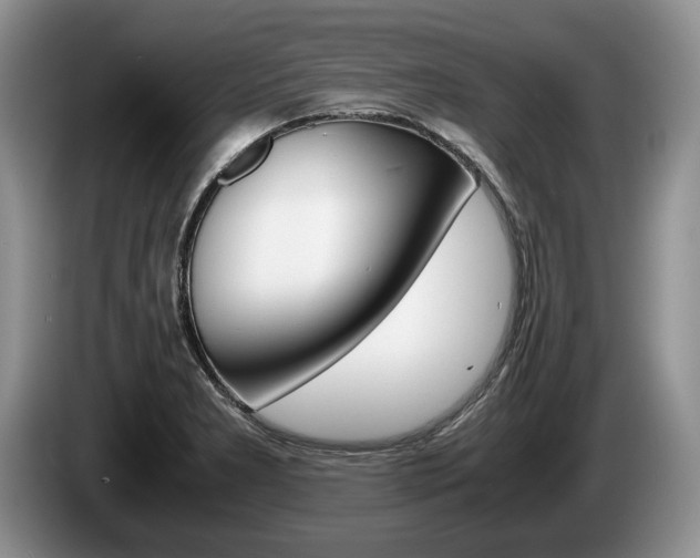 X0000087561277200704270919
