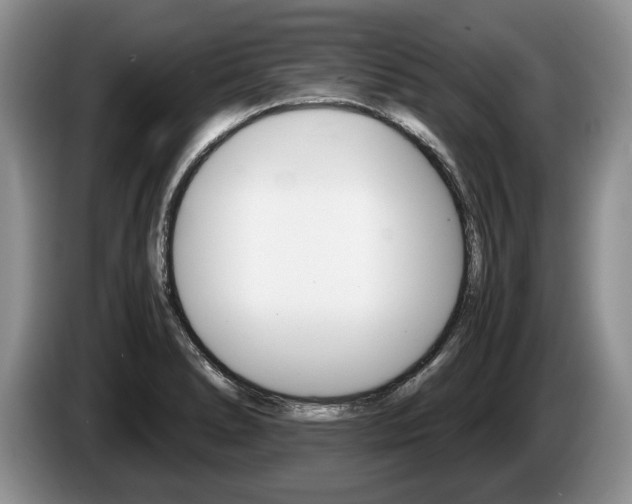 X0000087561278200704270919