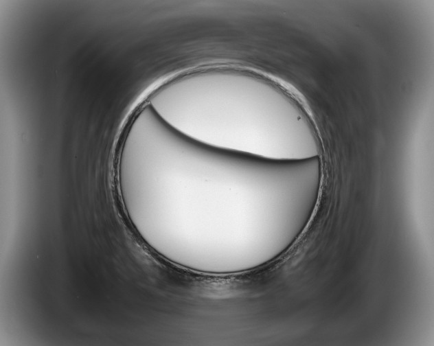 X0000087561279200704270919