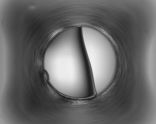 X0000087561281200704270919