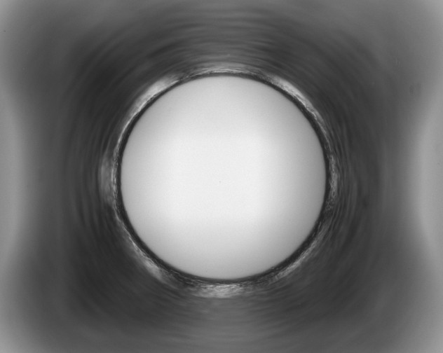 X0000087561282200704270919