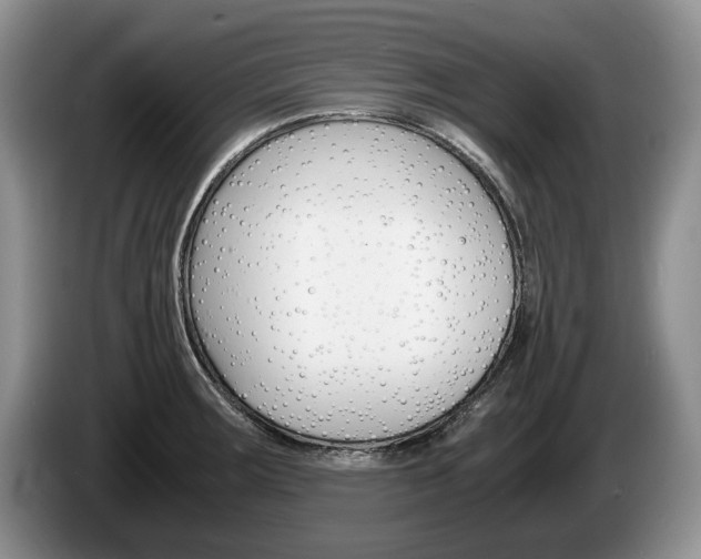 X0000087561283200704270919